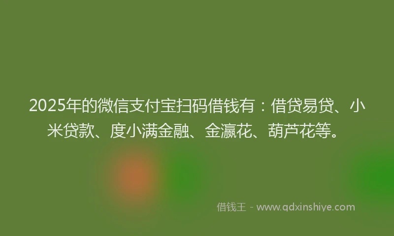 2025年的微信支付宝扫码借钱有：借贷易贷、小米贷款、度小满金融、金瀛花、葫芦花等。