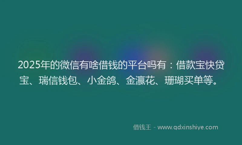2025年的微信有啥借钱的平台吗有：借款宝快贷宝、瑞信钱包、小金鸽、金瀛花、珊瑚买单等。