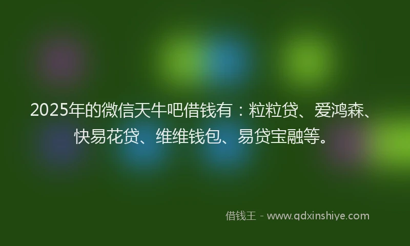 2025年的微信天牛吧借钱有：粒粒贷、爱鸿森、快易花贷、维维钱包、易贷宝融等。