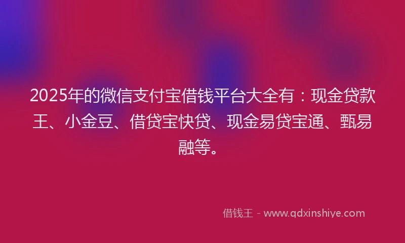 2025年的微信支付宝借钱平台大全有：现金贷款王、小金豆、借贷宝快贷、现金易贷宝通、甄易融等。