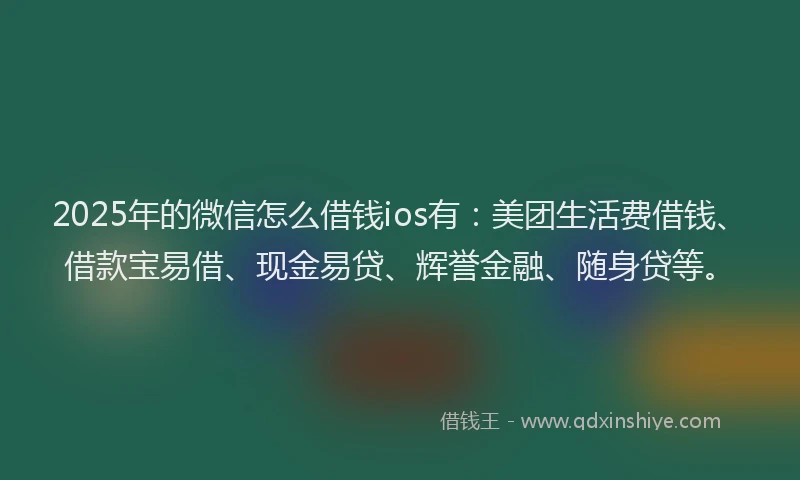 2025年的微信怎么借钱ios有：美团生活费借钱、借款宝易借、现金易贷、辉誉金融、随身贷等。