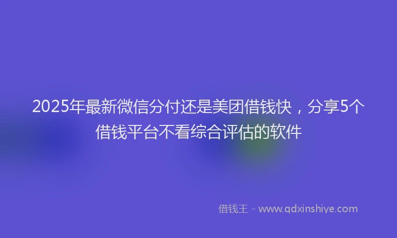 2025年最新微信分付还是美团借钱快，分享5个借钱平台不看综合评估的软件