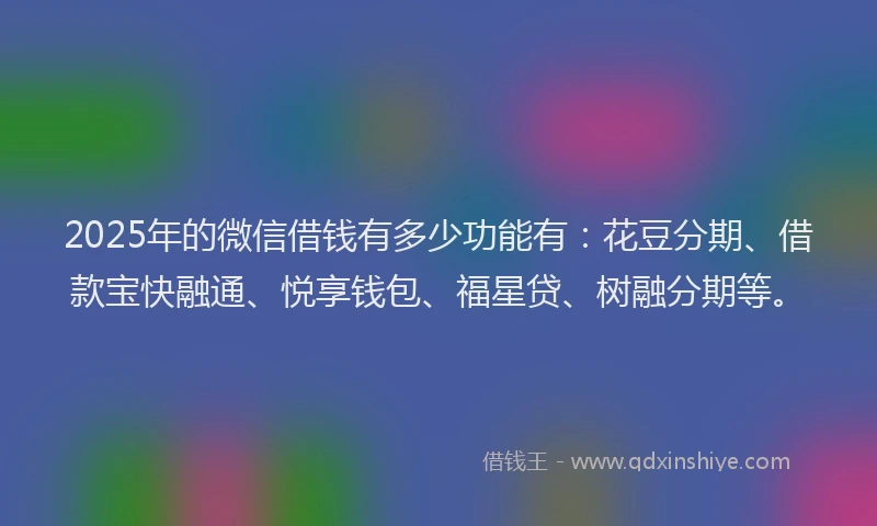2025年的微信借钱有多少功能有：花豆分期、借款宝快融通、悦享钱包、福星贷、树融分期等。