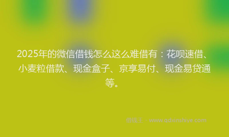 2025年的微信借钱怎么这么难借有：花呗速借、小麦粒借款、现金盒子、京享易付、现金易贷通等。