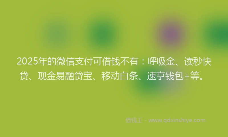 2025年的微信支付可借钱不有：呼吸金、读秒快贷、现金易融贷宝、移动白条、速享钱包+等。