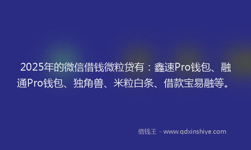 2025年的微信借钱微粒贷有：鑫速Pro钱包、融通Pro钱包、独角兽、米粒白条、借款宝易融等。