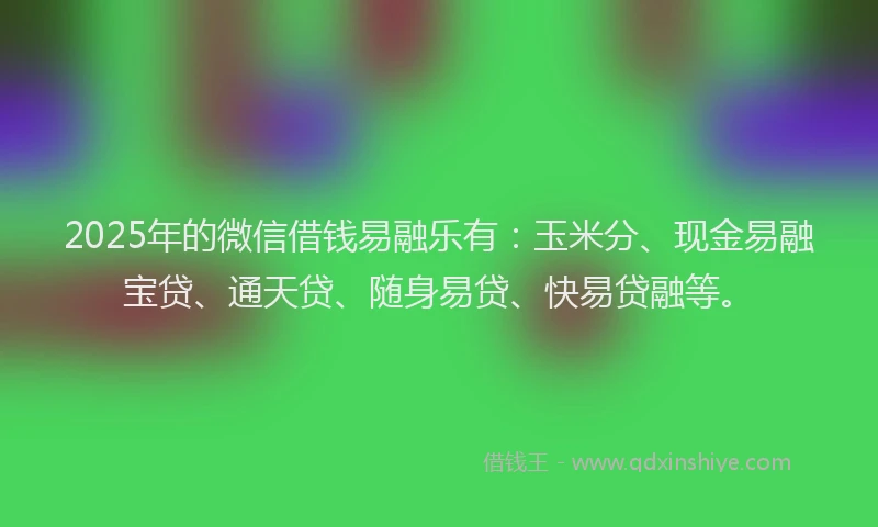 2025年的微信借钱易融乐有：玉米分、现金易融宝贷、通天贷、随身易贷、快易贷融等。