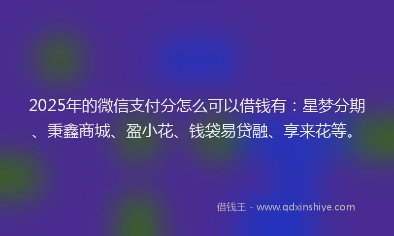 2025年的微信支付分怎么可以借钱有：星梦分期、秉鑫商城、盈小花、钱袋易贷融、享来花等。