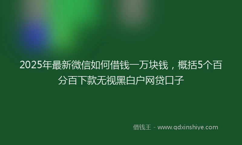2025年最新微信如何借钱一万块钱，概括5个百分百下款无视黑白户网贷口子