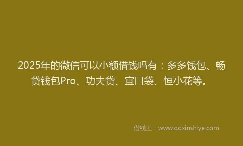 2025年的微信可以小额借钱吗有：多多钱包、畅贷钱包Pro、功夫贷、宜口袋、恒小花等。
