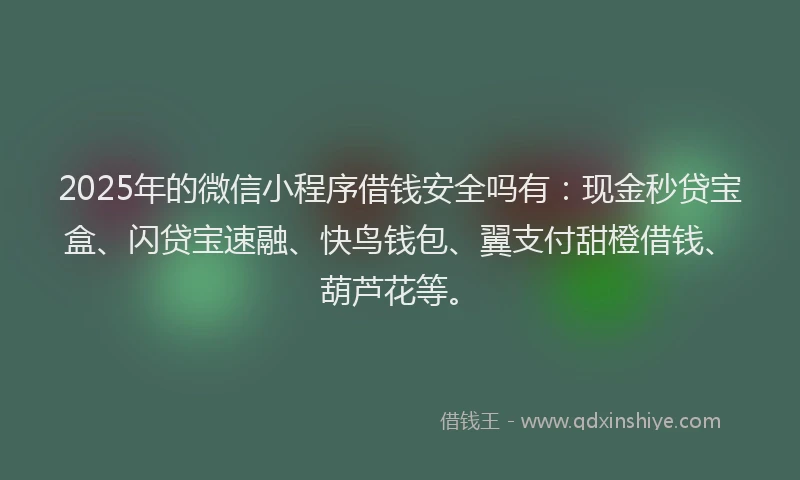 2025年的微信小程序借钱安全吗有：现金秒贷宝盒、闪贷宝速融、快鸟钱包、翼支付甜橙借钱、葫芦花等。