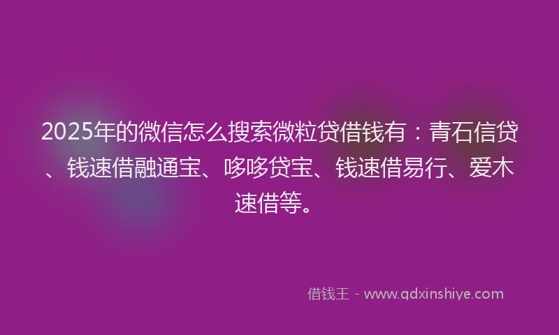 2025年的微信怎么搜索微粒贷借钱有：青石信贷、钱速借融通宝、哆哆贷宝、钱速借易行、爱木速借等。