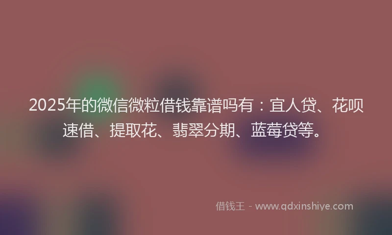 2025年的微信微粒借钱靠谱吗有：宜人贷、花呗速借、提取花、翡翠分期、蓝莓贷等。