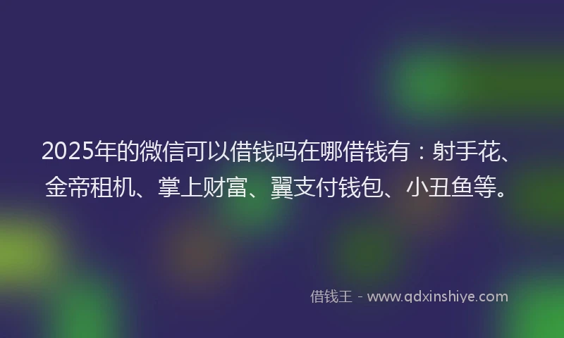 2025年的微信可以借钱吗在哪借钱有：射手花、金帝租机、掌上财富、翼支付钱包、小丑鱼等。