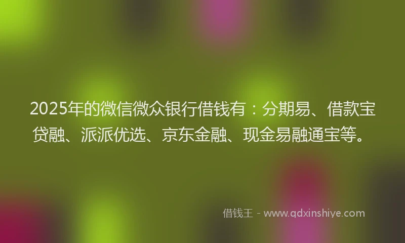 2025年的微信微众银行借钱有：分期易、借款宝贷融、派派优选、京东金融、现金易融通宝等。