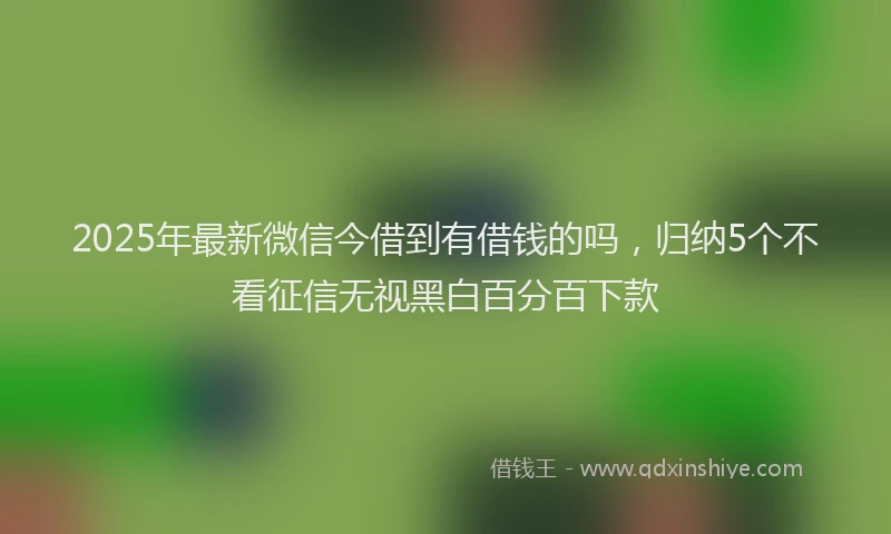 2025年最新微信今借到有借钱的吗，归纳5个不看征信无视黑白百分百下款