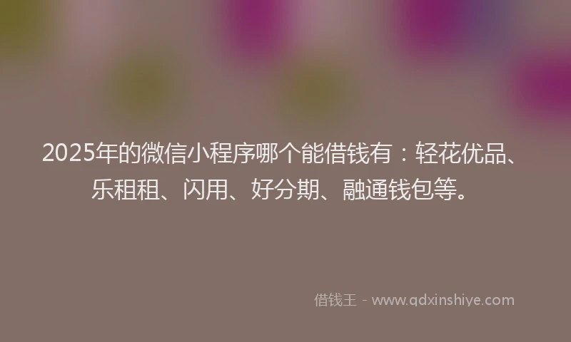 2025年的微信小程序哪个能借钱有：轻花优品、乐租租、闪用、好分期、融通钱包等。