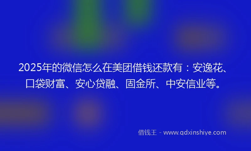 2025年的微信怎么在美团借钱还款有：安逸花、口袋财富、安心贷融、固金所、中安信业等。