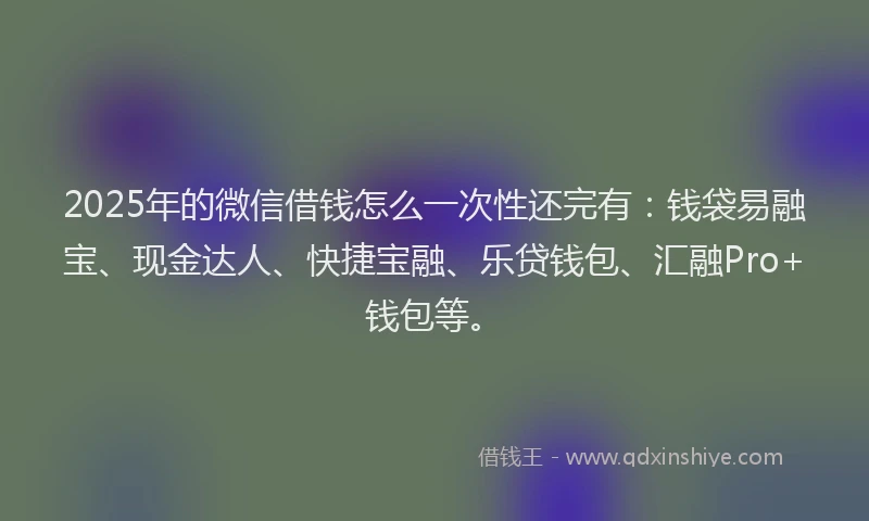 2025年的微信借钱怎么一次性还完有：钱袋易融宝、现金达人、快捷宝融、乐贷钱包、汇融Pro+钱包等。