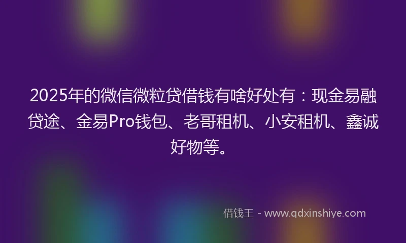 2025年的微信微粒贷借钱有啥好处有：现金易融贷途、金易Pro钱包、老哥租机、小安租机、鑫诚好物等。