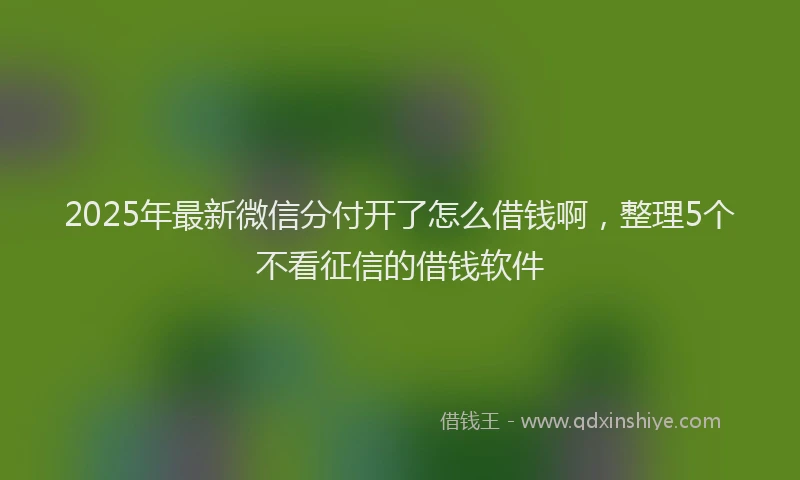 2025年最新微信分付开了怎么借钱啊，整理5个不看征信的借钱软件