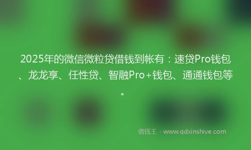 2025年的微信微粒贷借钱到帐有：速贷Pro钱包、龙龙享、任性贷、智融Pro+钱包、通通钱包等。