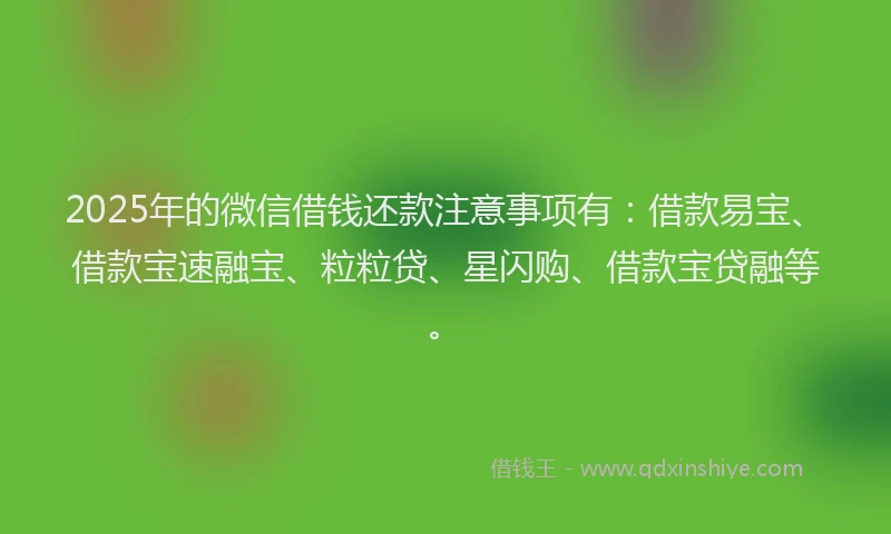 2025年的微信借钱还款注意事项有：借款易宝、借款宝速融宝、粒粒贷、星闪购、借款宝贷融等。