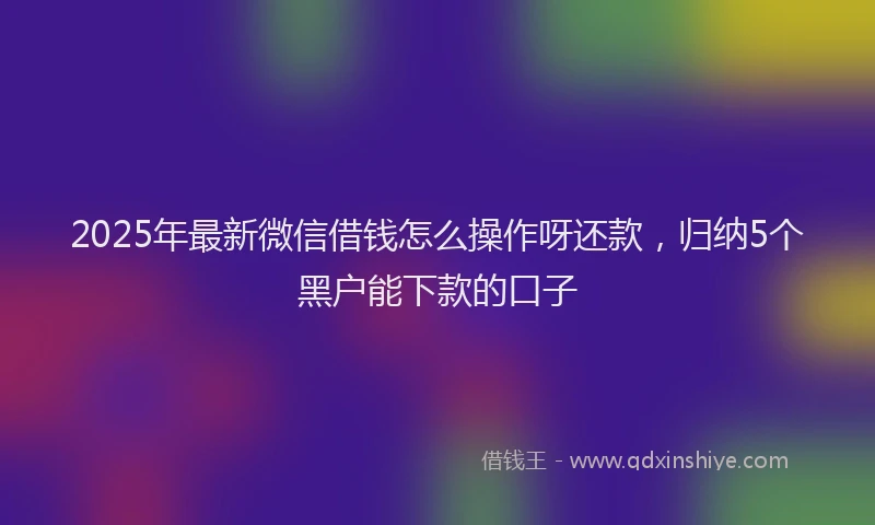 2025年最新微信借钱怎么操作呀还款，归纳5个黑户能下款的口子