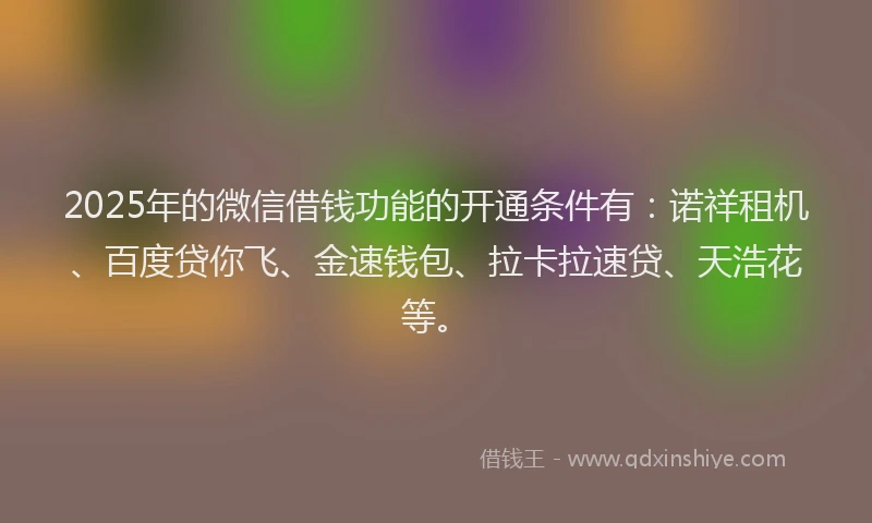 2025年的微信借钱功能的开通条件有：诺祥租机、百度贷你飞、金速钱包、拉卡拉速贷、天浩花等。