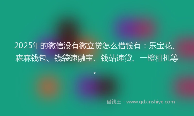 2025年的微信没有微立贷怎么借钱有：乐宝花、森森钱包、钱袋速融宝、钱站速贷、一橙租机等。