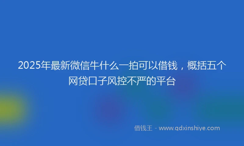 2025年最新微信牛什么一拍可以借钱，概括五个网贷口子风控不严的平台