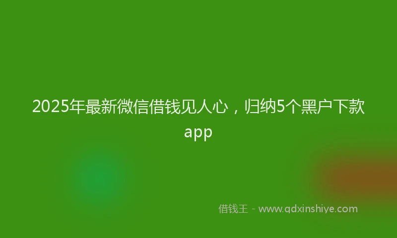 2025年最新微信借钱见人心，归纳5个黑户下款app