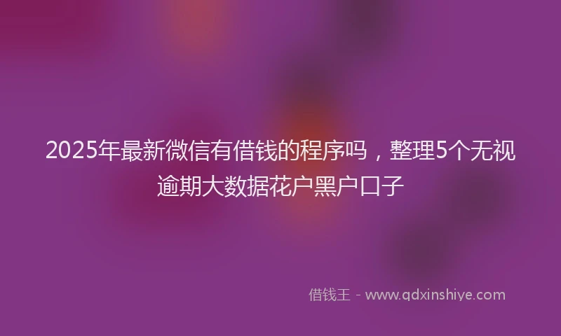 2025年最新微信有借钱的程序吗，整理5个无视逾期大数据花户黑户口子