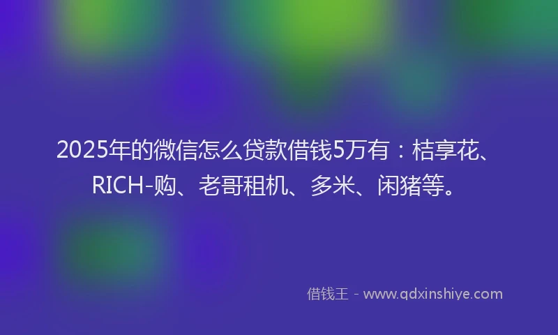 2025年的微信怎么贷款借钱5万有：桔享花、RICH-购、老哥租机、多米、闲猪等。