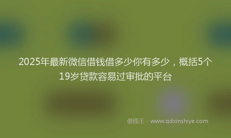 2025年最新微信借钱借多少你有多少，概括5个19岁贷款容易过审批的平台