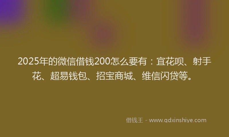2025年的微信借钱200怎么要有：宜花呗、射手花、超易钱包、招宝商城、维信闪贷等。
