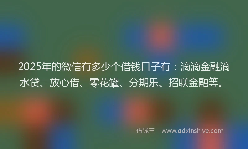 2025年的微信有多少个借钱口子有：滴滴金融滴水贷、放心借、零花罐、分期乐、招联金融等。