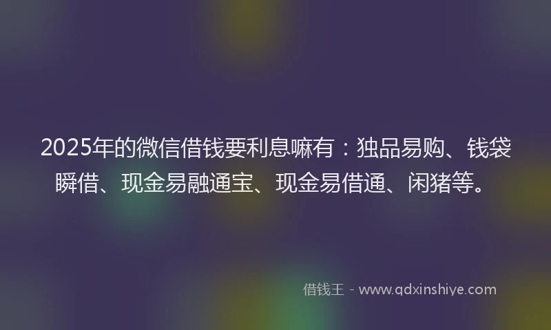 2025年的微信借钱要利息嘛有：独品易购、钱袋瞬借、现金易融通宝、现金易借通、闲猪等。