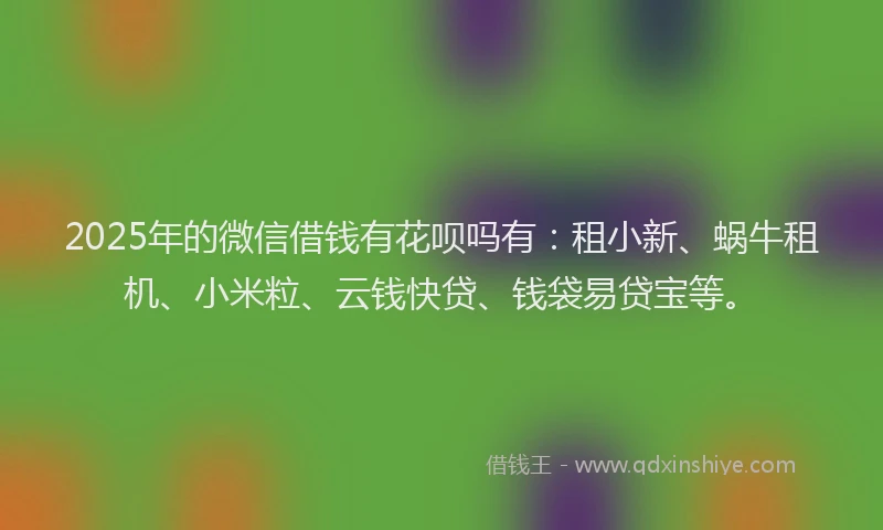 2025年的微信借钱有花呗吗有：租小新、蜗牛租机、小米粒、云钱快贷、钱袋易贷宝等。