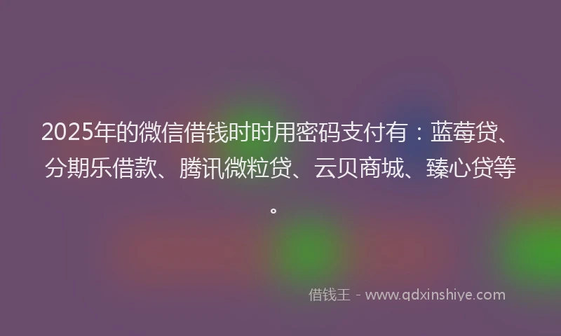 2025年的微信借钱时时用密码支付有：蓝莓贷、分期乐借款、腾讯微粒贷、云贝商城、臻心贷等。