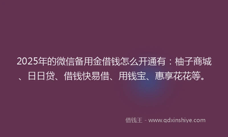 2025年的微信备用金借钱怎么开通有：柚子商城、日日贷、借钱快易借、用钱宝、惠享花花等。