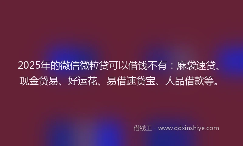 2025年的微信微粒贷可以借钱不有：麻袋速贷、现金贷易、好运花、易借速贷宝、人品借款等。