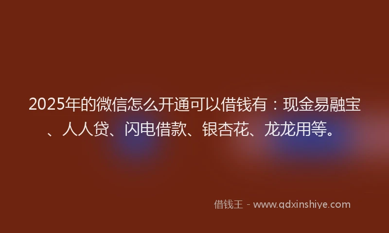 2025年的微信怎么开通可以借钱有：现金易融宝、人人贷、闪电借款、银杏花、龙龙用等。