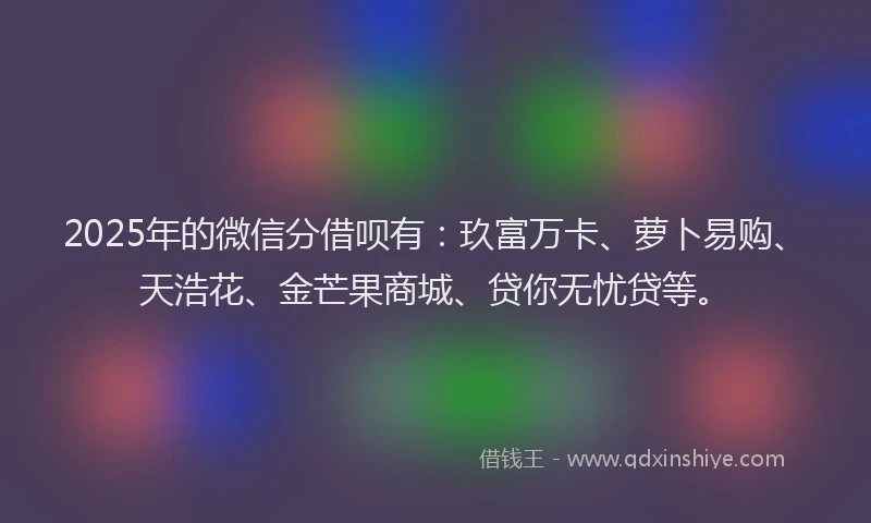 2025年的微信分借呗有：玖富万卡、萝卜易购、天浩花、金芒果商城、贷你无忧贷等。