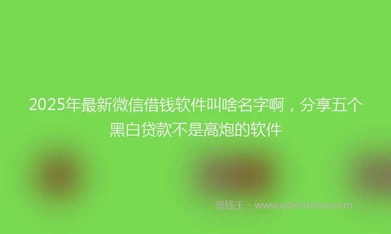 2025年最新微信借钱软件叫啥名字啊，分享五个黑白贷款不是高炮的软件