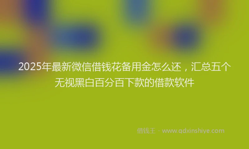 2025年最新微信借钱花备用金怎么还，汇总五个无视黑白百分百下款的借款软件