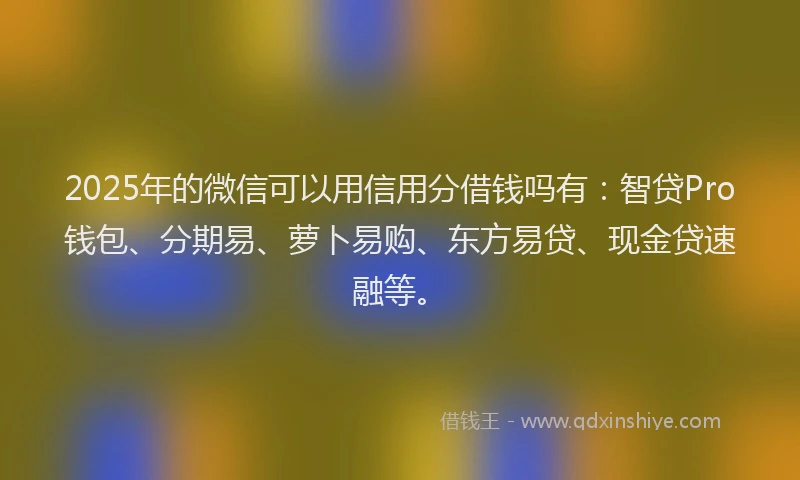 2025年的微信可以用信用分借钱吗有：智贷Pro钱包、分期易、萝卜易购、东方易贷、现金贷速融等。