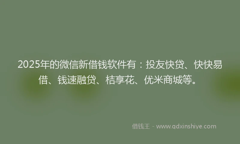 2025年的微信新借钱软件有：投友快贷、快快易借、钱速融贷、桔享花、优米商城等。