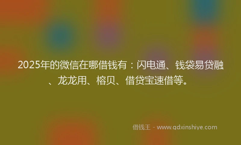 2025年的微信在哪借钱有：闪电通、钱袋易贷融、龙龙用、榕贝、借贷宝速借等。