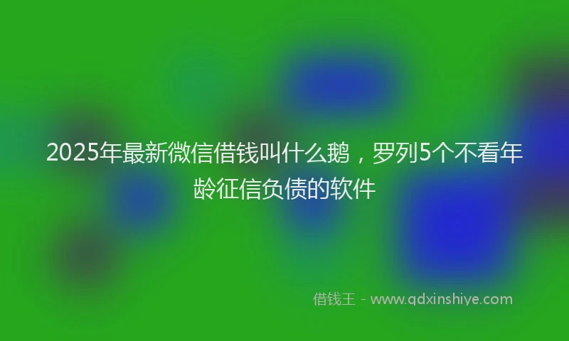 2025年最新微信借钱叫什么鹅，罗列5个不看年龄征信负债的软件